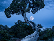 Black Canyon of the Gunnison National Park