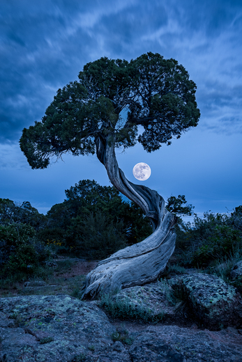 Black Canyon of the Gunnison National Park