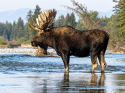 Grand Teton National Park