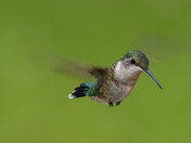 Nature is Beautiful