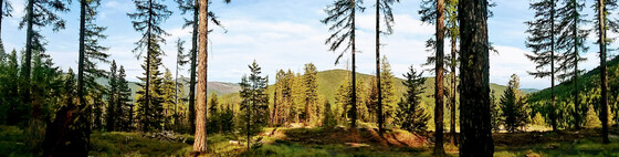 Colville National Forest