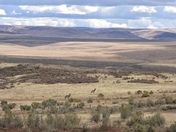 Bureau of Land Management land in the Owyhees