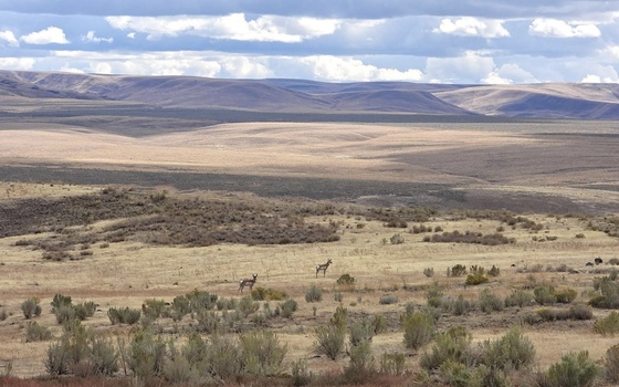 Bureau of Land Management land in the Owyhees