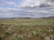 Bureau of Land Management 