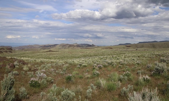 Bureau of Land Management 