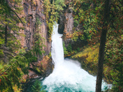 Umpqua National Forest