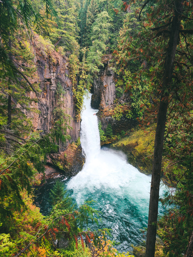 Umpqua National Forest