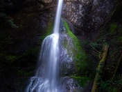 Olympic National Park 