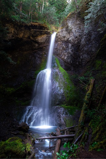 Olympic National Park 