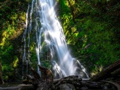 Olympic National Park 