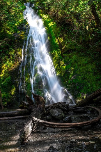 Olympic National Park 