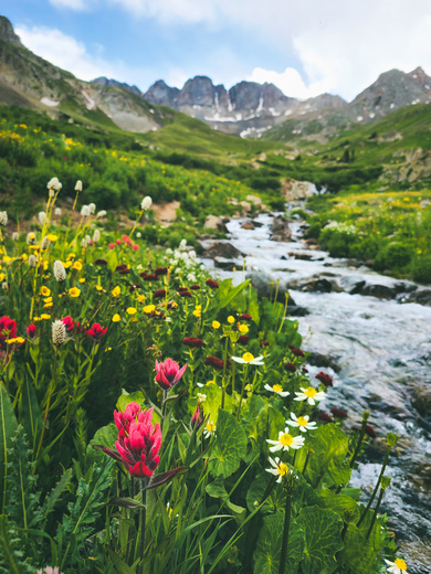 Gunnison National Forest
