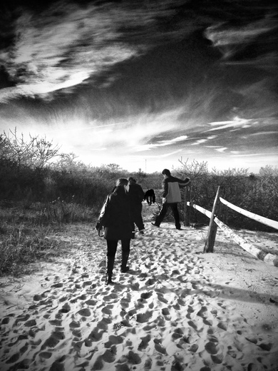 Sandy Hook Gateway National Rec.