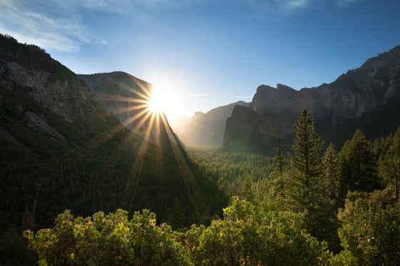Yosemite National Park