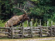 Great Smoky Mountains National Park