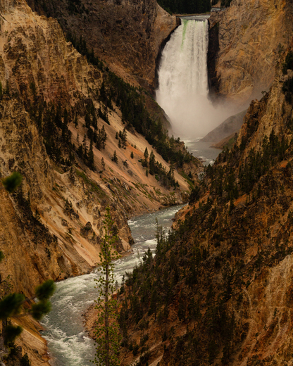 Yellowstone National Park 