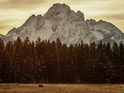 Grand Teton National Park