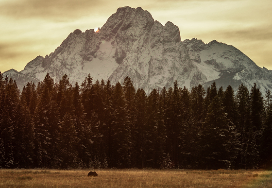 Grand Teton National Park