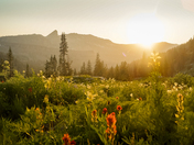 Caribou-Targhee National Forest