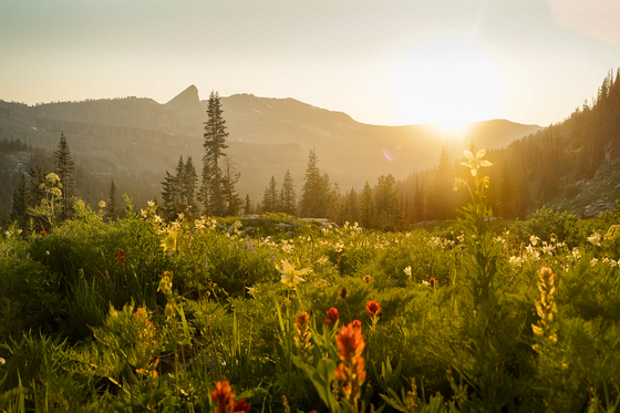 Caribou-Targhee National Forest