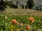 Grand Teton National Park 