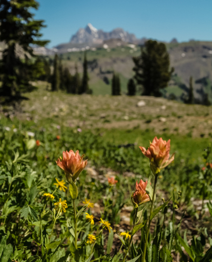 Grand Teton National Park 