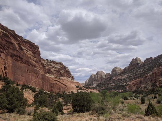 Capitol Reef National Park