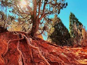 Bryce Canyon National Park 