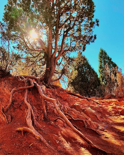 Bryce Canyon National Park 