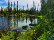 Uinta National Forest 