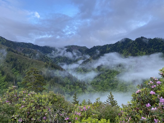 Great Smoky Mountains 