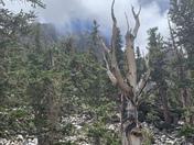 Great Basin National Park