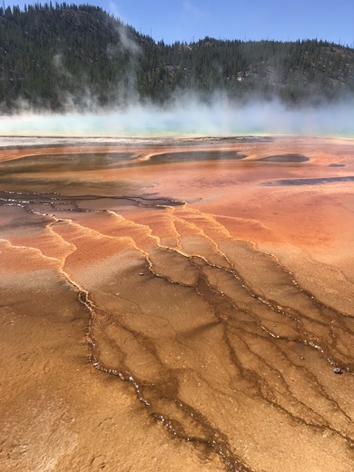 Yellowstone National Park 