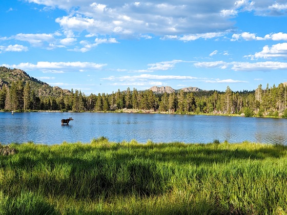 Rocky Mountain National Park