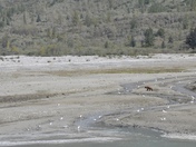 Glacier Bay National Park