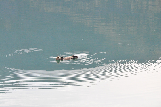 Glacier Bay National Park
