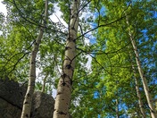 Rocky Mountain National Park 