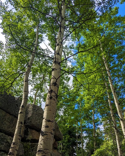 Rocky Mountain National Park 