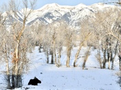 Grand Teton National Park