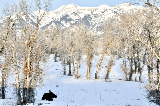 Grand Teton National Park