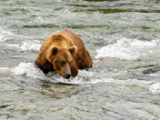 Katmai National Park and Preserve