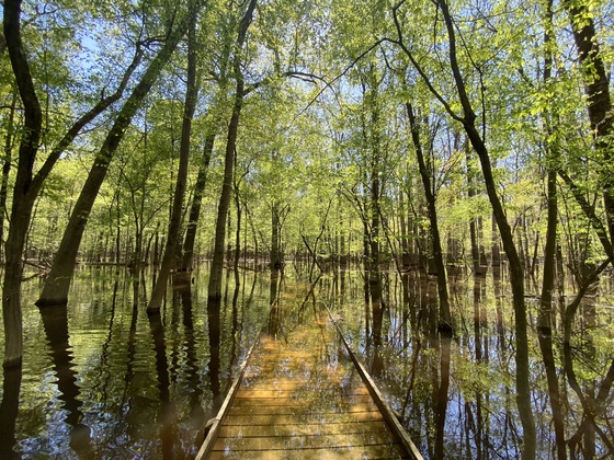 Congaree National Park