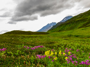 Chugach National Forest 