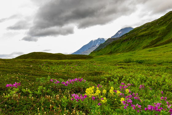 Chugach National Forest 