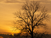 Manassas National Battlefield Park