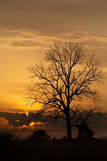 Manassas National Battlefield Park