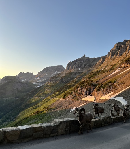 Glacier National Park 