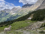 Glacier National Park