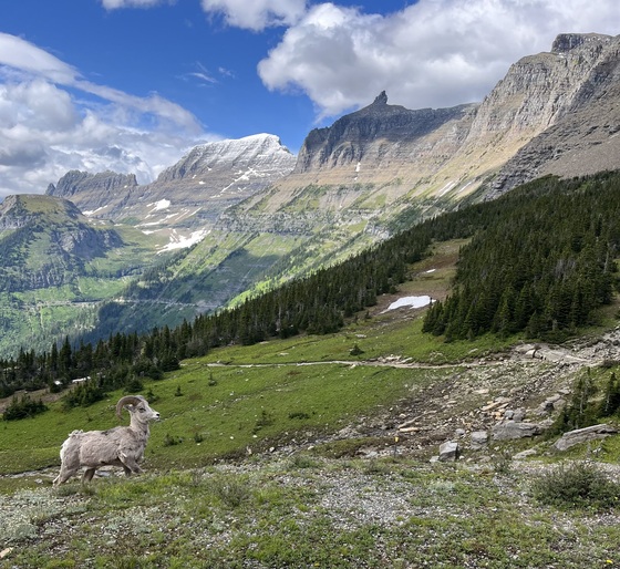 Glacier National Park