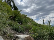 Glacier National Park